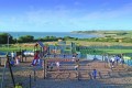 Thorness Bay Holiday Park