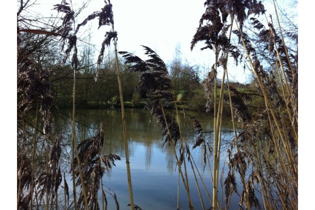 Photo of Roebeck Country Park