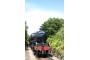 See the Jacobite Steam Train ( Harry Potter Train )