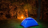 Fox Wood Camping