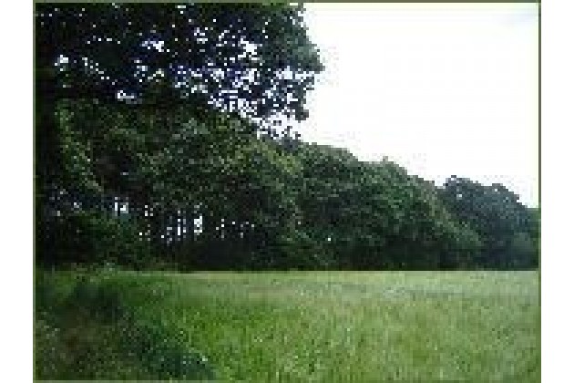 Photo of Brockwell Wood