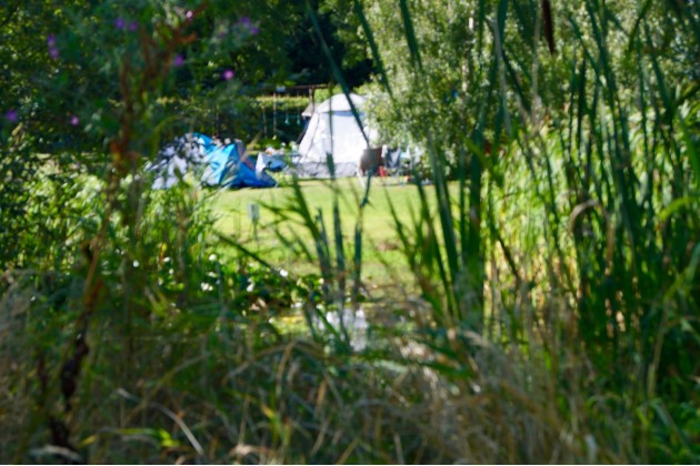 Photo of The Limes Campsite