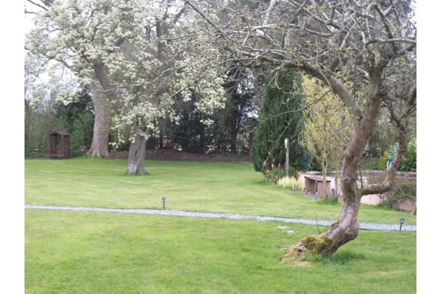 A View from the orchard