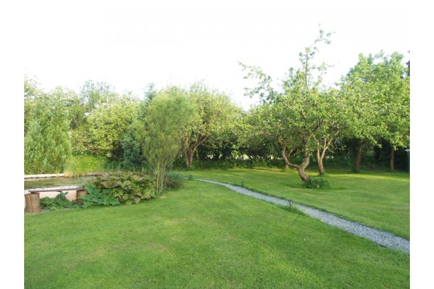 Pond and orchard