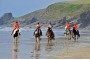 Nolton Horses on Druidstone beach