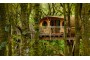 Photo of Living Room Treehouses